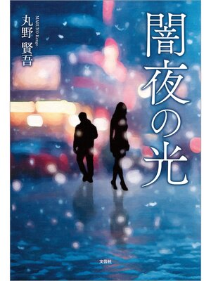 cover image of 闇夜の光